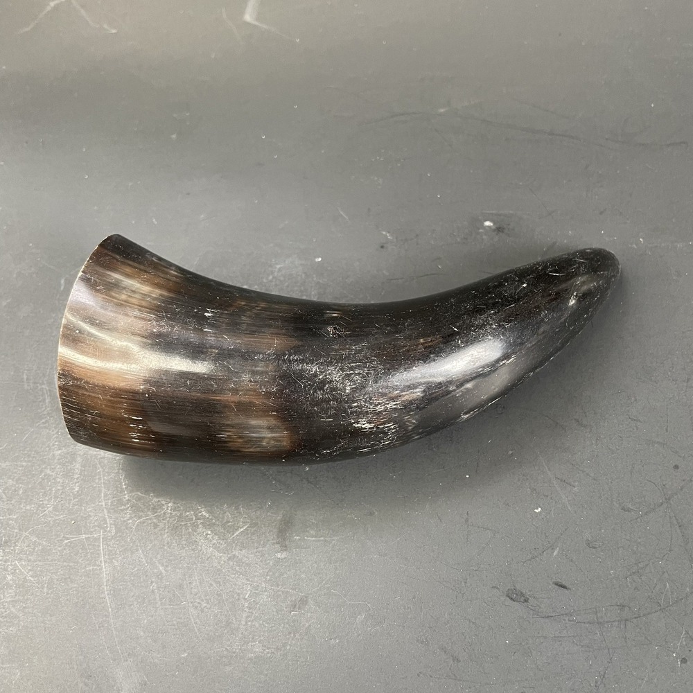 1 Polished Cow Horn Natural‎ Colored Approximately 6 1/2"